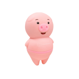 Estimulador De Clítoris Pigly Usb